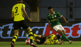 Confronto entre São Bernardo e Palmeiras marca as quartas de final do Campeonato Paulista 2025