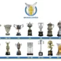 Campeões e Vice-Campeões do Campeonato Brasileiro (1971–2024)